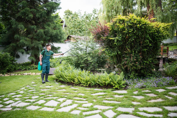 Best Wildlife Control Services  in Catawissa, PA