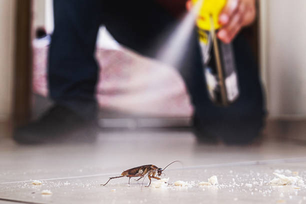 Best Pest Prevention Services  in Catawissa, PA