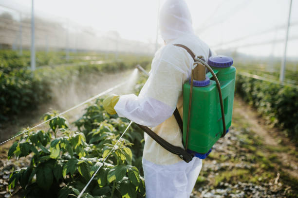 Best Mosquito Control Services  in Catawissa, PA